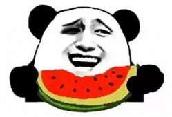 成龙劝学娱乐吃瓜酱,从娱乐吃瓜酱到人生导师的蜕变之路